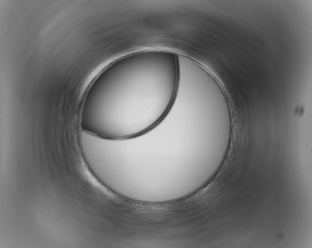X0000111021100200906191224