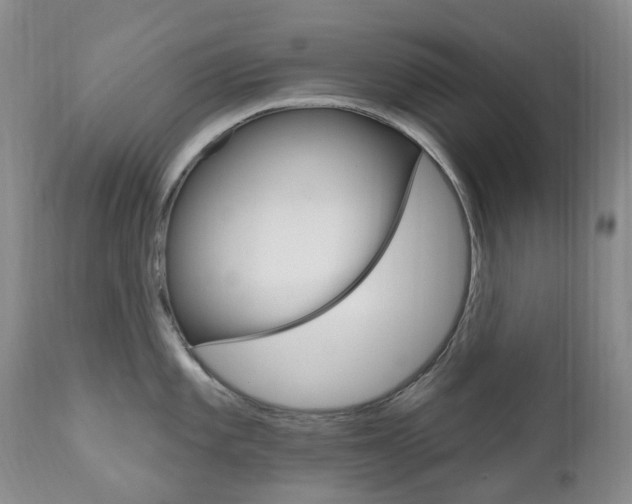 X0000111021101200906191224