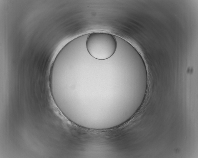 X0000111021104200906191224