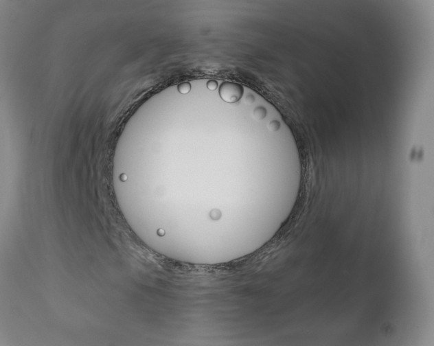 X0000111021105200906191223