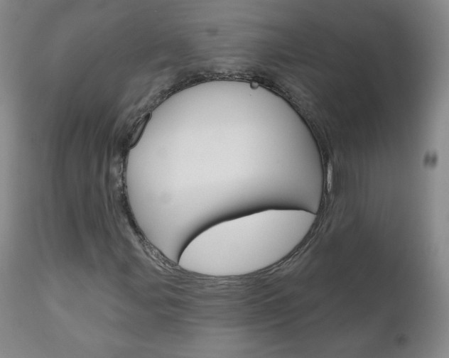 X0000111021107200906191223