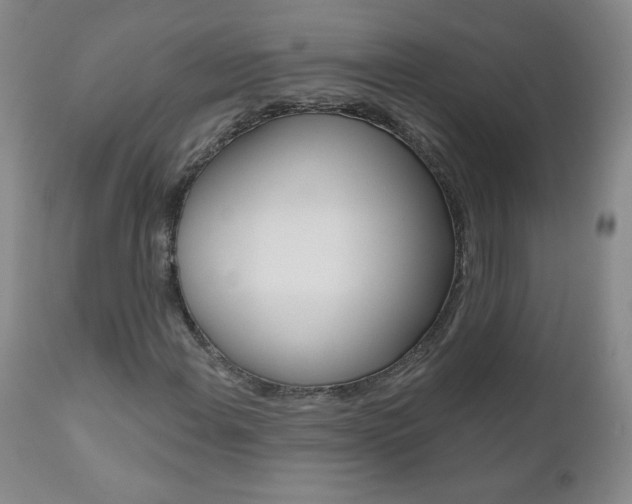 X0000111021108200906191223