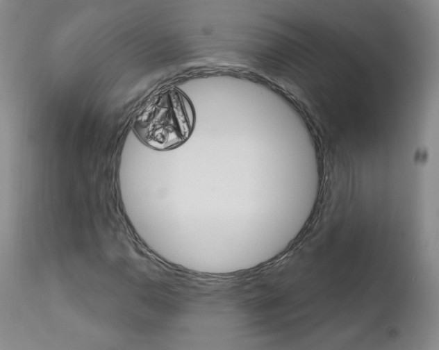 X0000111021110200906191223