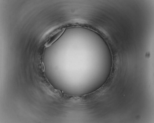 X0000111021112200906191223