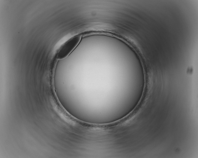 X0000111021114200906191223