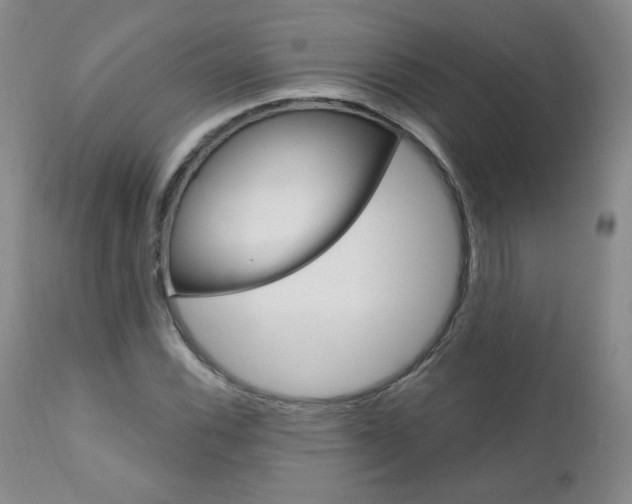 X0000111021116200906191223