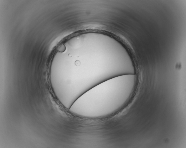 X0000111021117200906191224