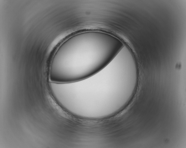 X0000111021122200906191224