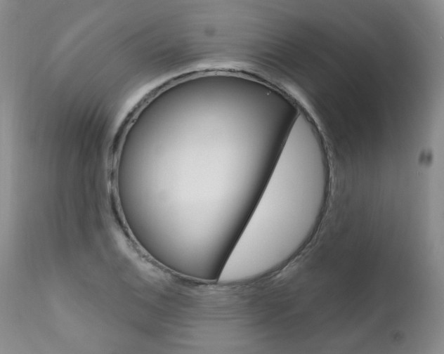X0000111021124200906191224