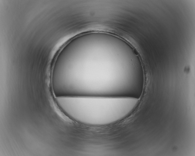 X0000111021128200906191224
