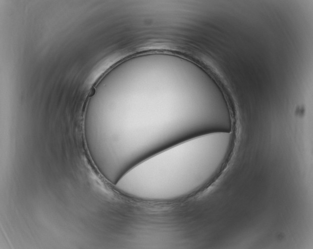 X0000111021129200906191224
