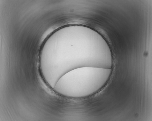 X0000111021130200906191224