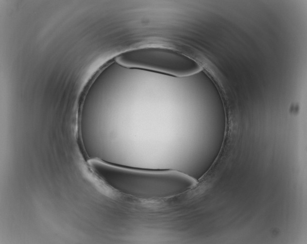 X0000111021132200906191224