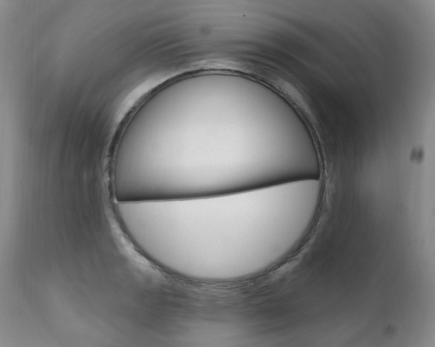 X0000111021133200906191224