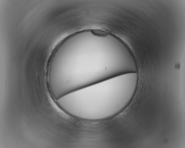X0000111021135200906191224