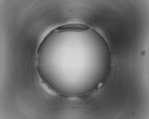 X0000111021140200906191224
