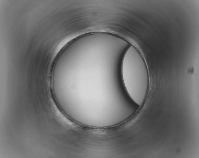 X0000111021141200906191224