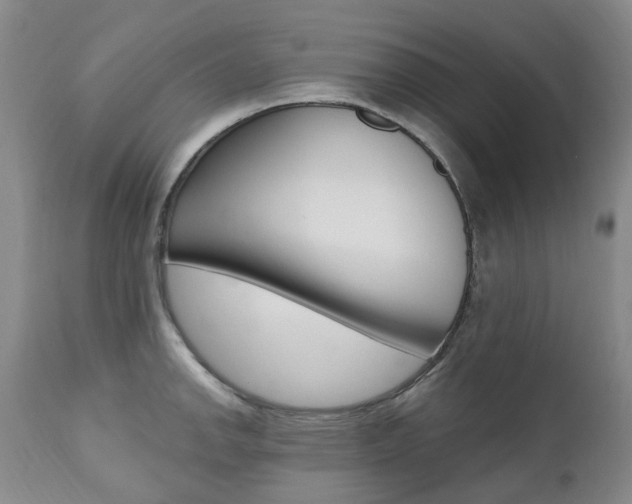 X0000111021142200906191224