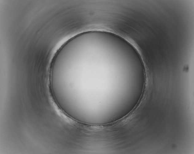 X0000111021144200906191224