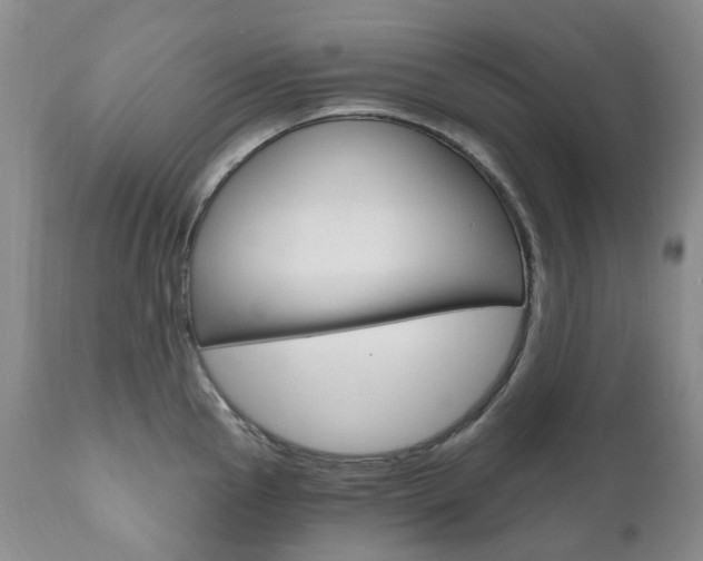X0000111021145200906191224
