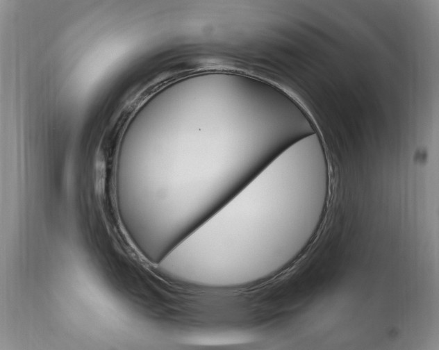 X0000111021151200906191224