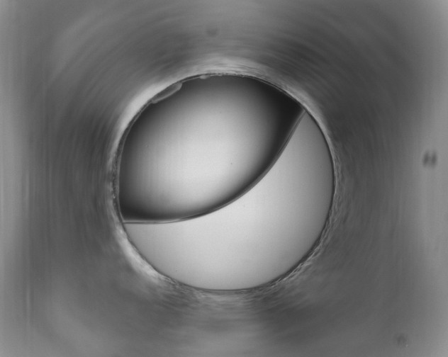 X0000111021152200906191224
