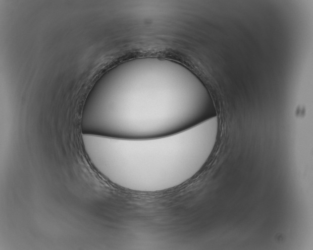 X0000111021153200906191223