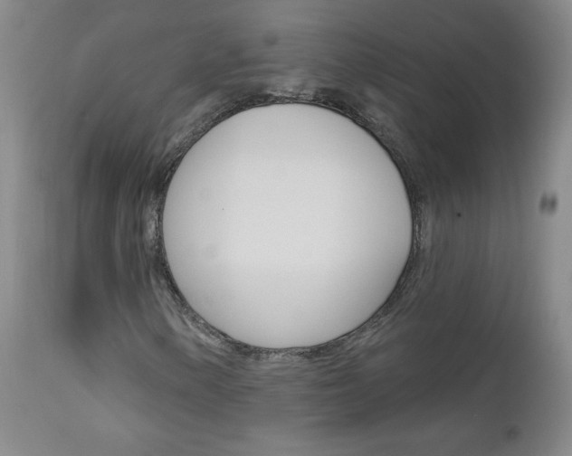 X0000111021154200906191223