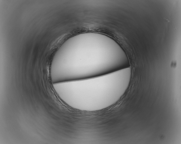 X0000111021155200906191223