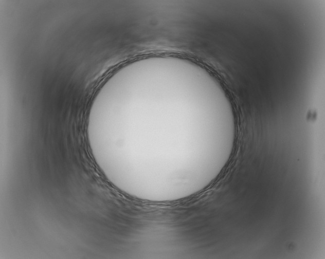 X0000111021157200906191223