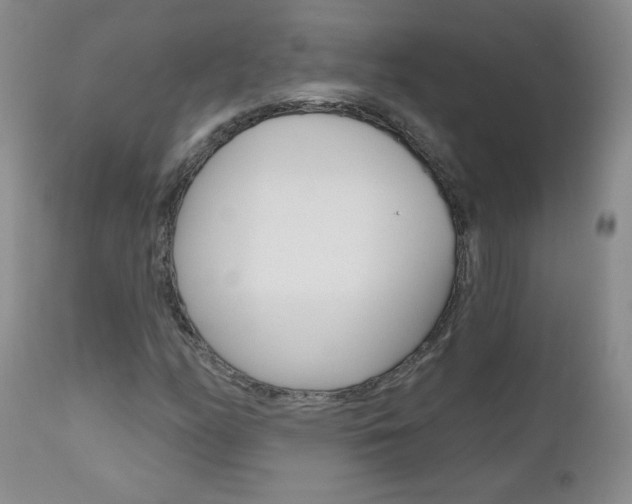 X0000111021158200906191223