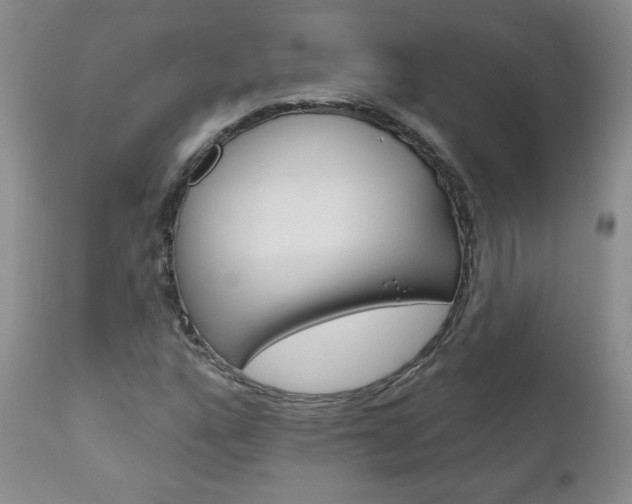 X0000111021160200906191223