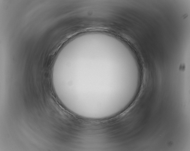 X0000111021161200906191223