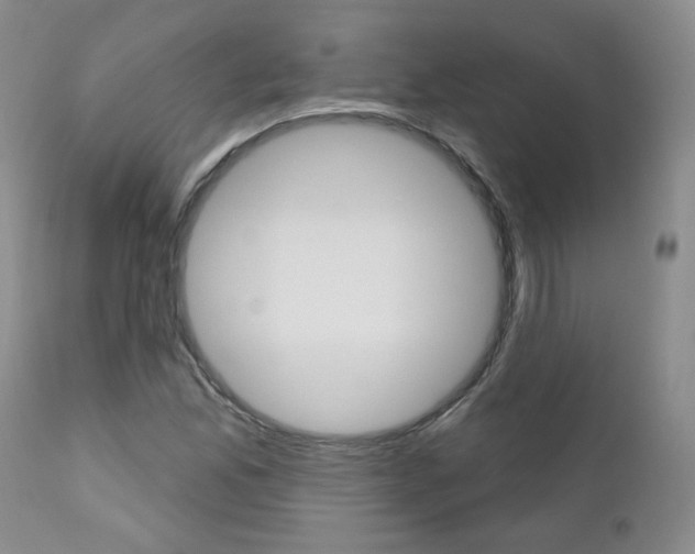 X0000111021165200906191223