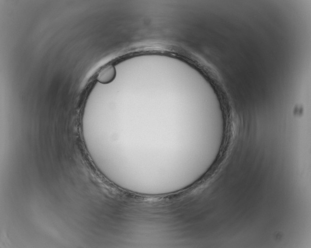 X0000111021166200906191223