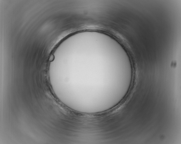 X0000111021170200906191223