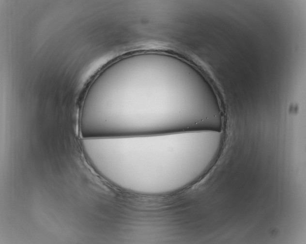 X0000111021171200906191223