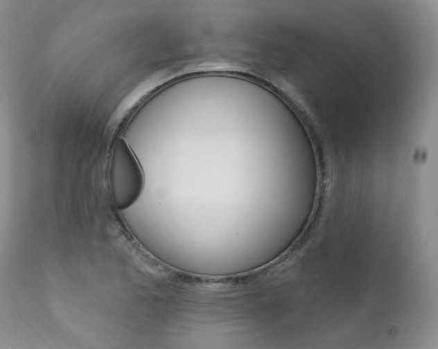 X0000111021173200906191223
