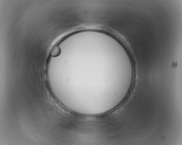 X0000111021174200906191223