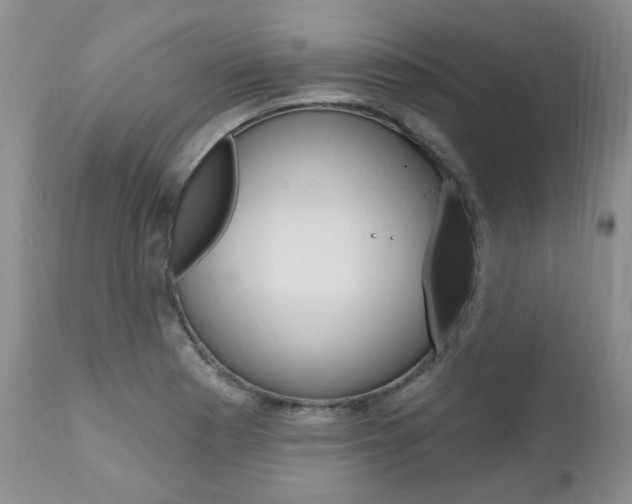 X0000111021177200906191223