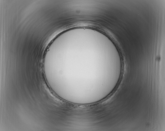 X0000111021178200906191223
