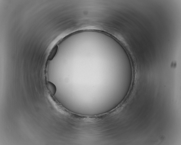 X0000111021181200906191223