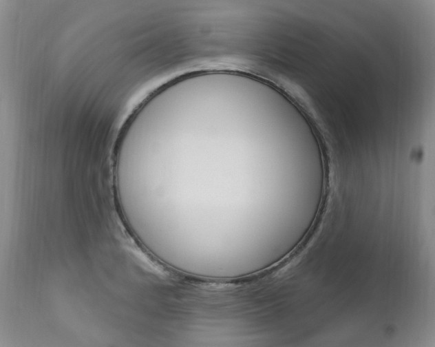 X0000111021184200906191223