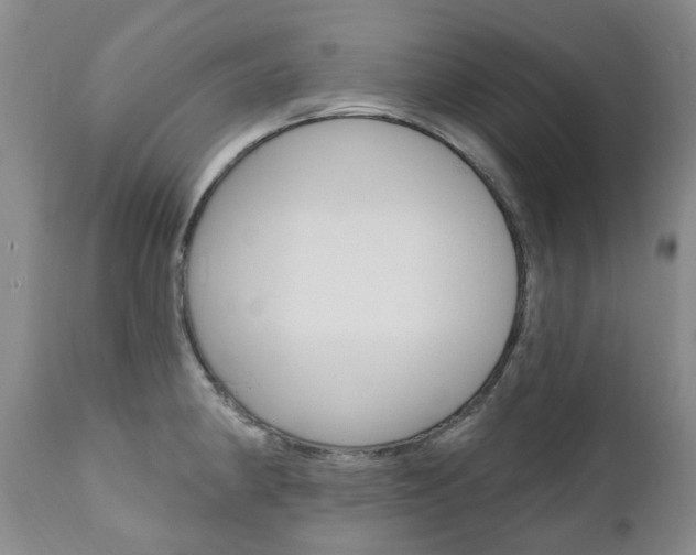 X0000111021190200906191223