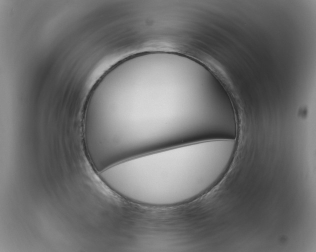 X0000111021192200906191223