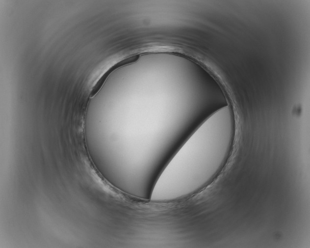 X0000111021193200906191223