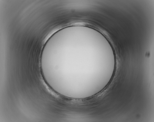 X0000111021194200906191223