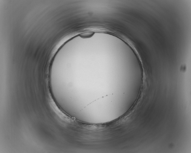 X0000111021195200906191223