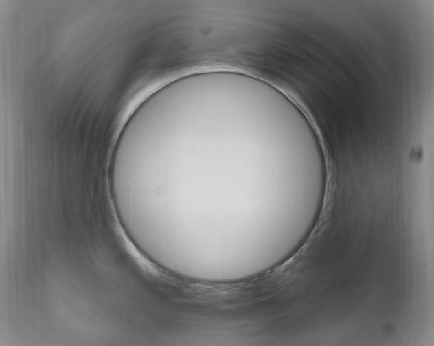 X0000111021197200906191223