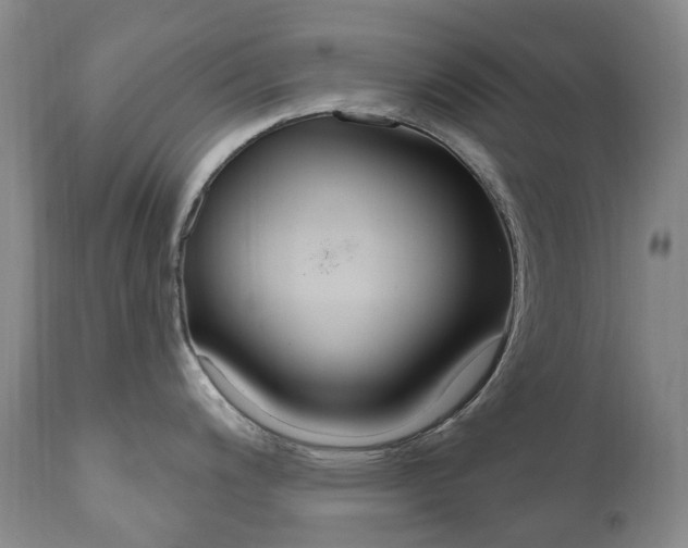 X0000111021200200906191223